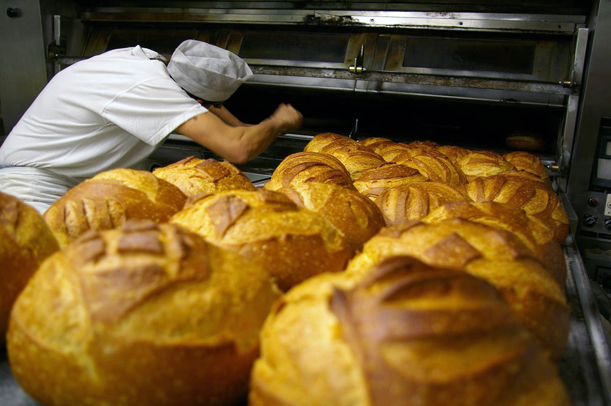 Bakery Capital expenditure and investment or CAPEX for bakery financial plan and business plan