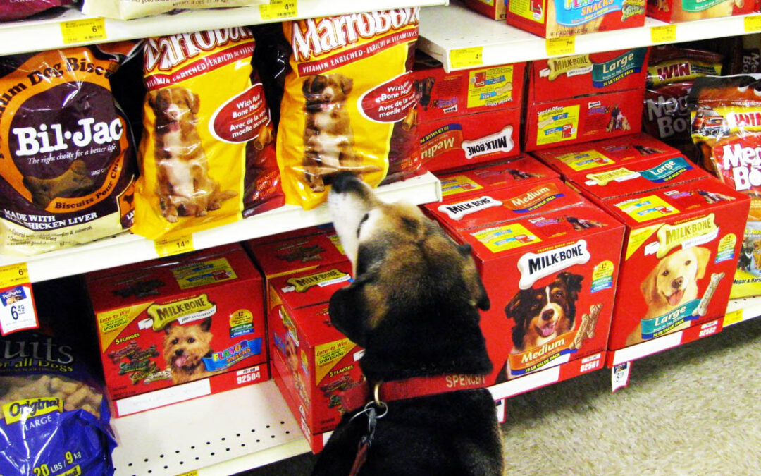 Catering To Cats (And Their Owners) With Customized Pet Food Plans