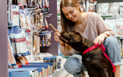 Pet Store Financial Plan Template [2024 Guide]