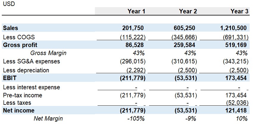 E-commerce income statement forecast