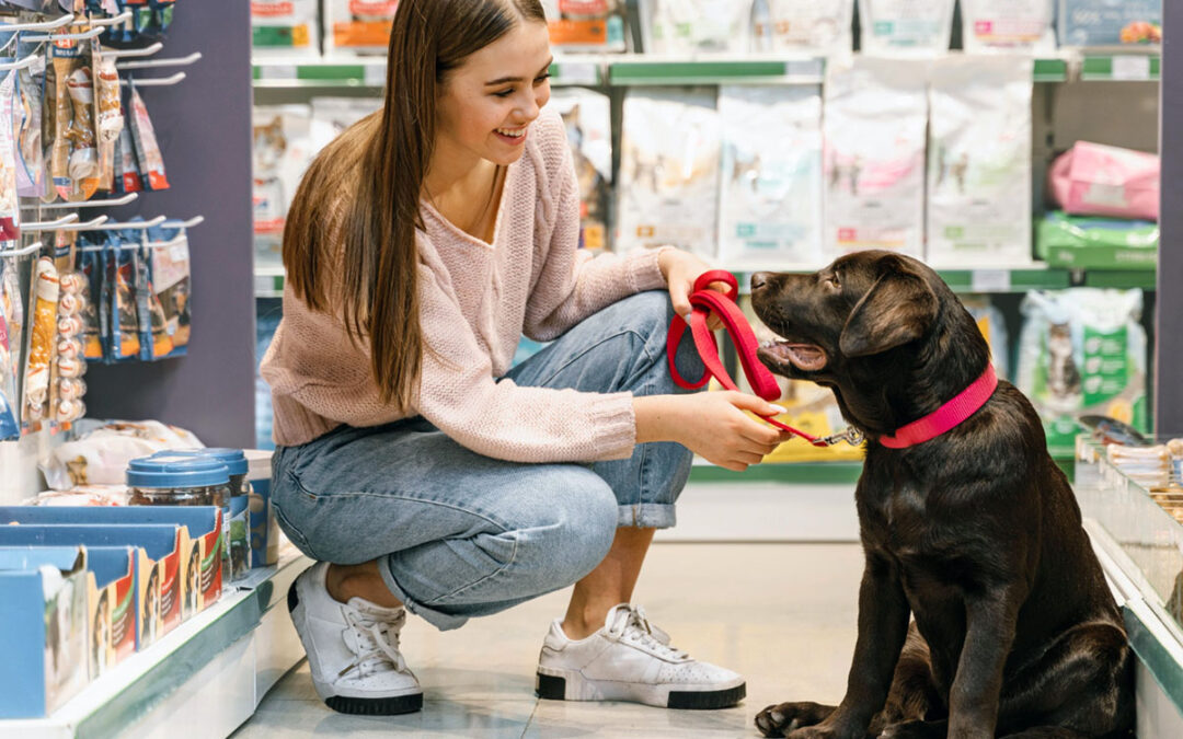 SWOT analysis for a Pet Store