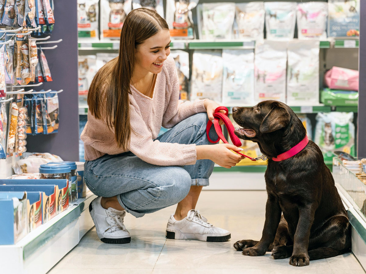 Pet Store SWOT Analysis: A Complete Guide