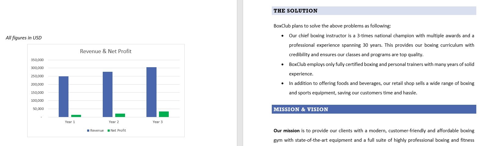 Boxing gym business plan sample in Word