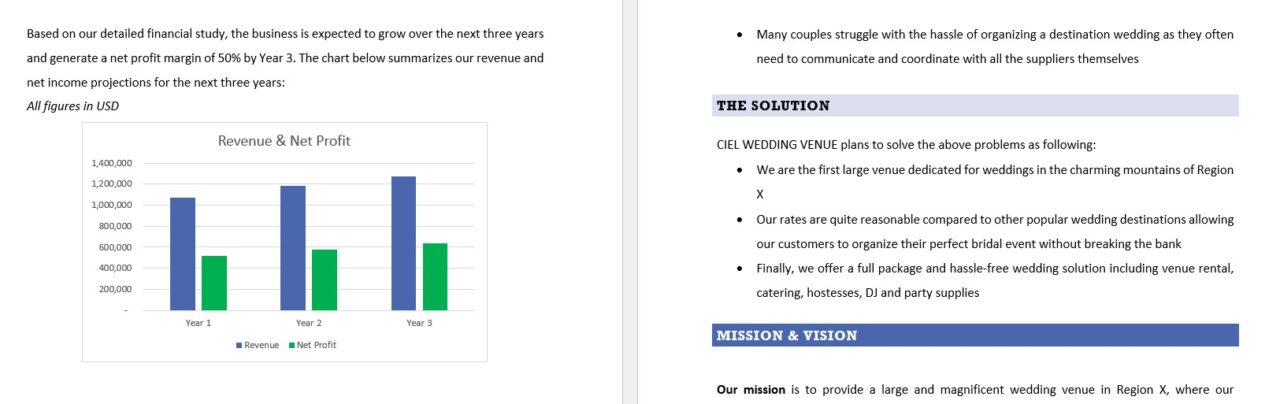 venue business plan example