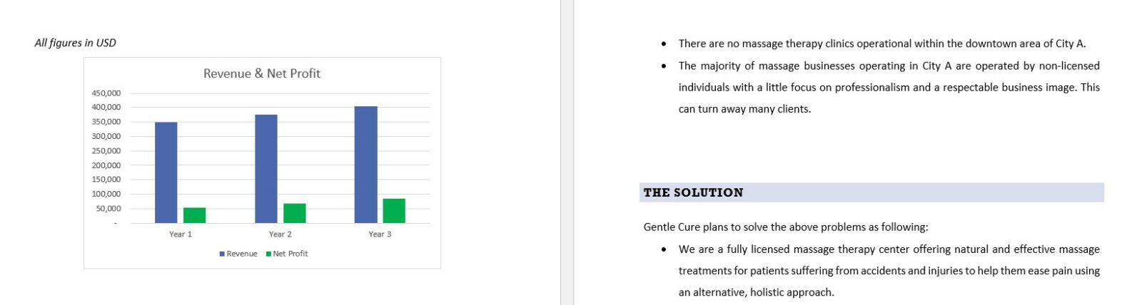 Massage therapy clinic business plan template